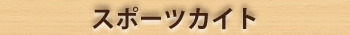 タイヤチューブラフティング
